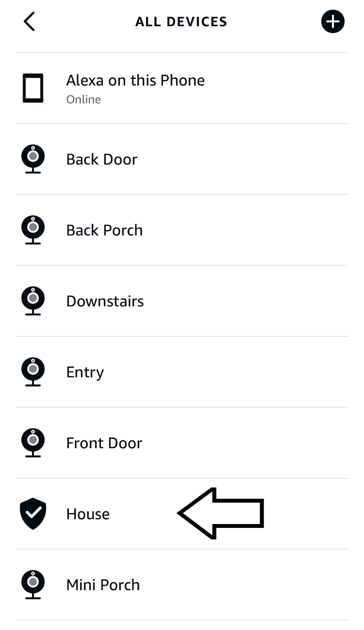 the shield shows which entries are a blink system